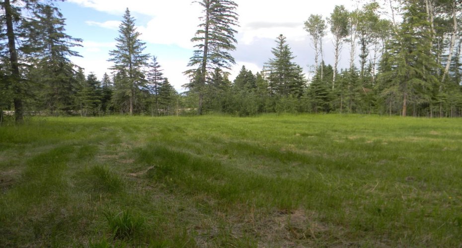 119 Meadow Ponds Drive, Rural Clearwater County, Alberta T4T 1A7, ,Land,For Sale,Meadow Ponds,A1021029