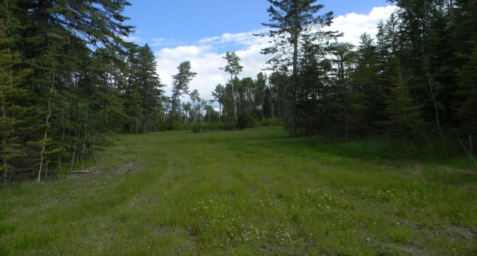 119 Meadow Ponds Drive, Rural Clearwater County, Alberta T4T 1A7, ,Land,For Sale,Meadow Ponds,A1021029