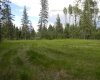 119 Meadow Ponds Drive, Rural Clearwater County, Alberta T4T 1A7, ,Land,For Sale,Meadow Ponds,A1021029