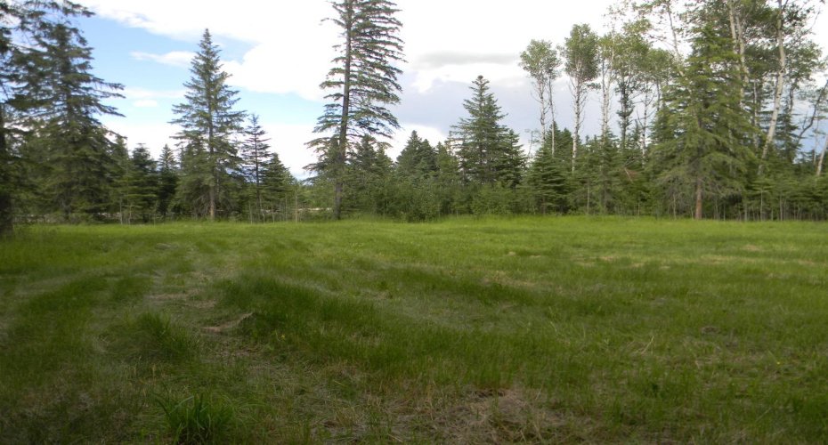 119 Meadow Ponds Drive, Rural Clearwater County, Alberta T4T 1A7, ,Land,For Sale,Meadow Ponds,A1021029