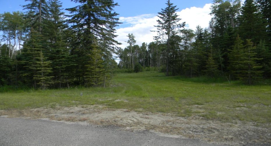 119 Meadow Ponds Drive, Rural Clearwater County, Alberta T4T 1A7, ,Land,For Sale,Meadow Ponds,A1021029