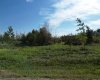4717 49 Street, Wanham, Alberta T0H 3P0, ,Land,For Sale,49,A2161664