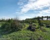 4717 49 Street, Wanham, Alberta T0H 3P0, ,Land,For Sale,49,A2161664