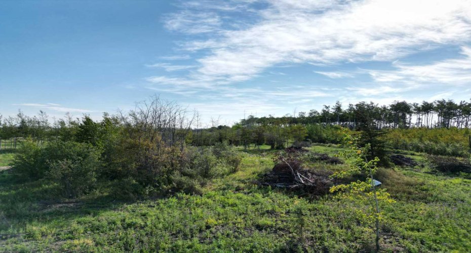 4717 49 Street, Wanham, Alberta T0H 3P0, ,Land,For Sale,49,A2161664