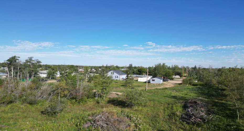 4717 49 Street, Wanham, Alberta T0H 3P0, ,Land,For Sale,49,A2161664