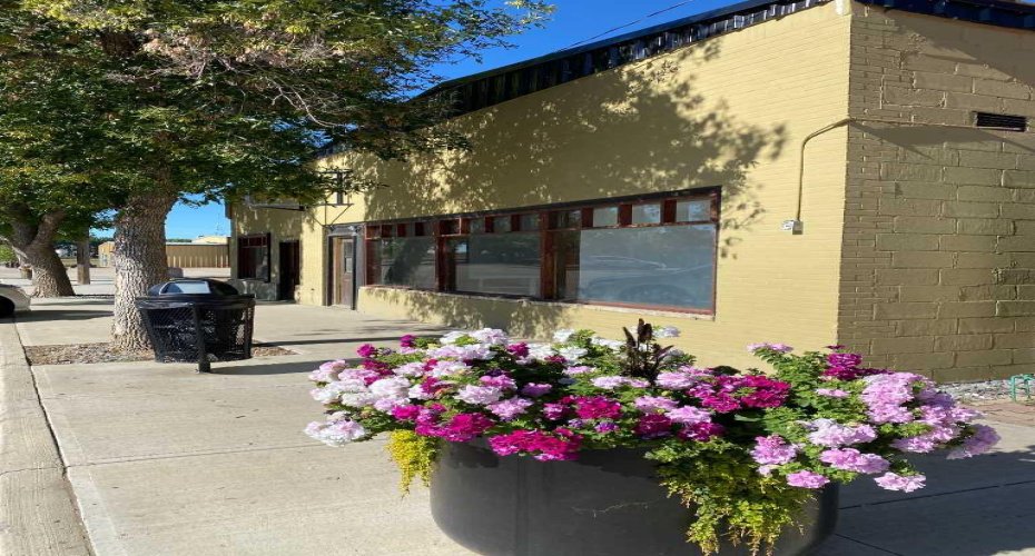 165 Centre Street, Tilley, Alberta T0J 3K0, ,Commercial,For Sale,Centre,A2162324