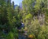 107 three sisters Drive, Canmore, Alberta T1W2M3, ,Land,For Sale,three sisters,A2071413