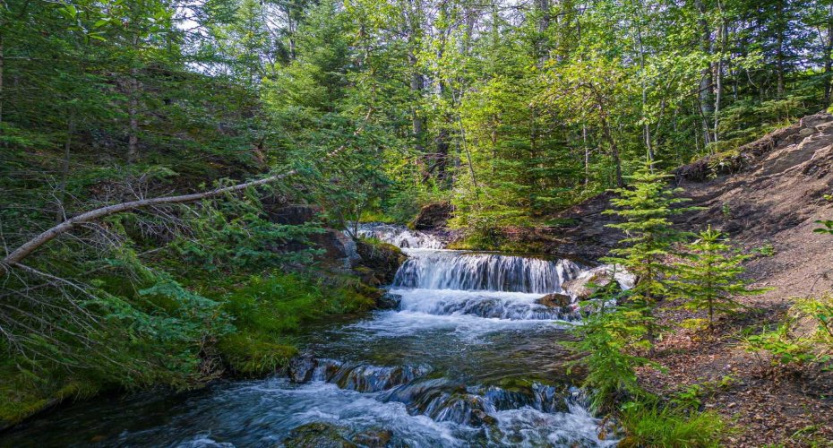 107 three sisters Drive, Canmore, Alberta T1W2M3, ,Land,For Sale,three sisters,A2071413