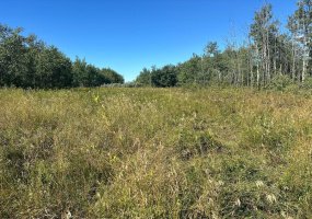 Juda Road, Rural Northern Sunrise County, Alberta T0H2N0, ,Land,For Sale,Juda,A2162802