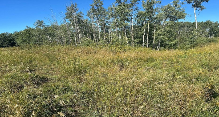 Juda Road, Rural Northern Sunrise County, Alberta T0H2N0, ,Land,For Sale,Juda,A2162802