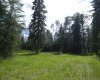 123 Meadow Ponds Drive, Rural Clearwater County, Alberta T4T 1A7, ,Land,For Sale,Meadow Ponds,A1021042
