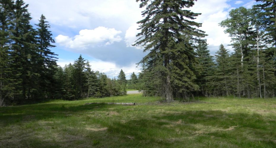 123 Meadow Ponds Drive, Rural Clearwater County, Alberta T4T 1A7, ,Land,For Sale,Meadow Ponds,A1021042
