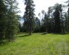 123 Meadow Ponds Drive, Rural Clearwater County, Alberta T4T 1A7, ,Land,For Sale,Meadow Ponds,A1021042