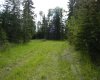 123 Meadow Ponds Drive, Rural Clearwater County, Alberta T4T 1A7, ,Land,For Sale,Meadow Ponds,A1021042