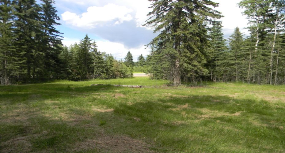 123 Meadow Ponds Drive, Rural Clearwater County, Alberta T4T 1A7, ,Land,For Sale,Meadow Ponds,A1021042