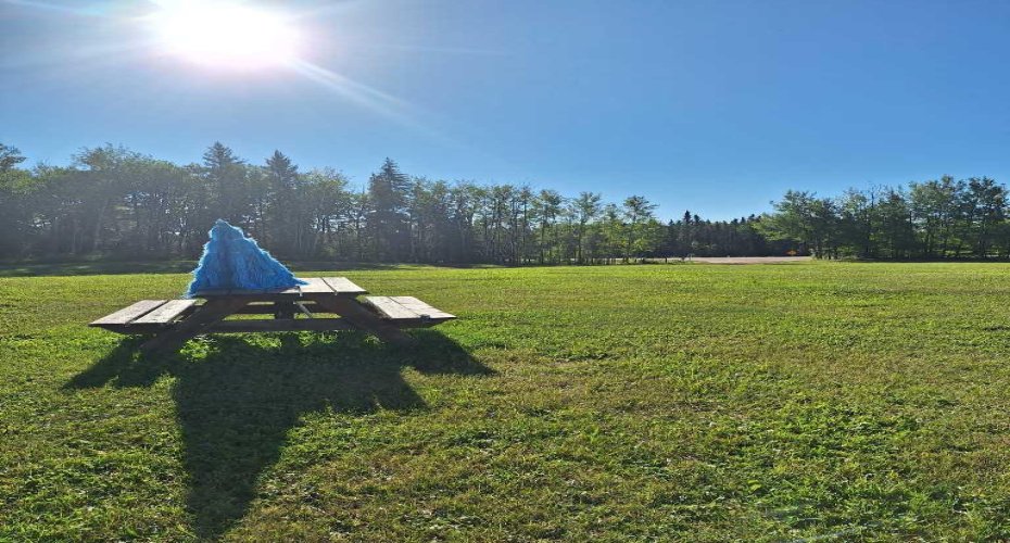 15041 Twp Rd 674A, Lac La Biche, Alberta T0A 2C0, ,Land,For Sale,Twp Rd 674A,A2163349