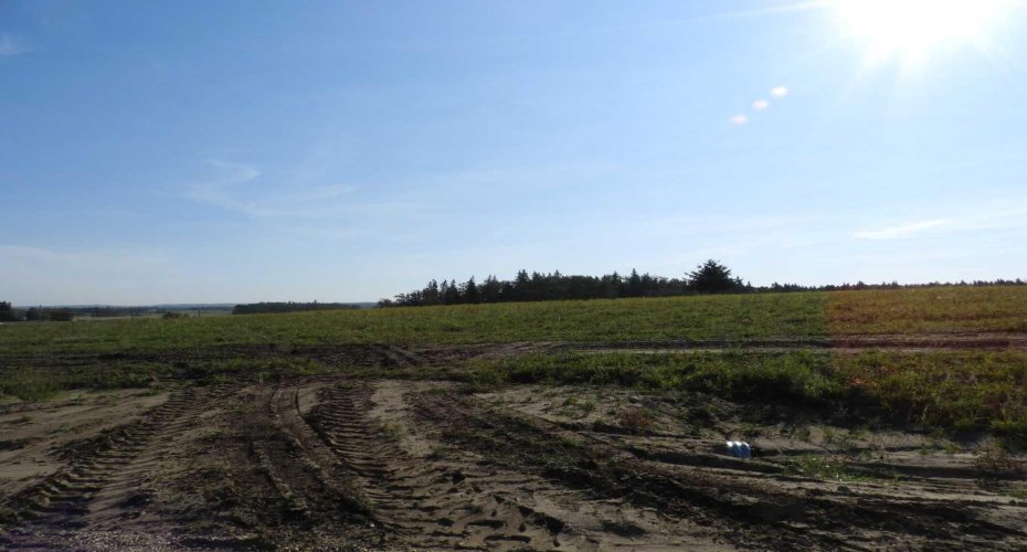 6 Country Acres, Rural Ponoka County, Alberta T0C 2J0, ,Land,For Sale,Country Acres,A2163840