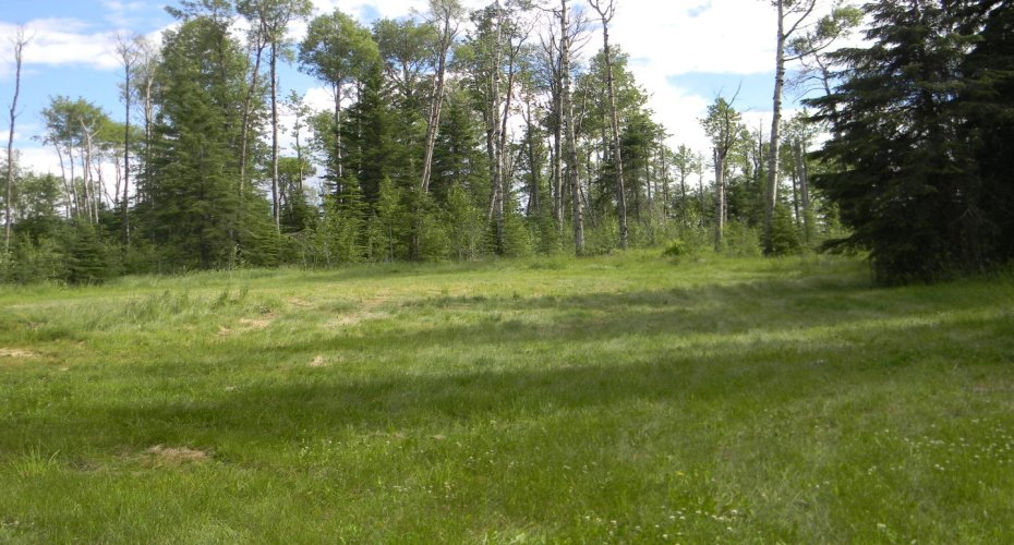 127 Meadow Ponds Drive, Rural Clearwater County, Alberta T4T 1A7, ,Land,For Sale,Meadow Ponds,A1021050