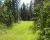 131 Meadow Ponds Drive, Rural Clearwater County, Alberta T4T 1A7, ,Land,For Sale,Meadow Ponds,A1021056