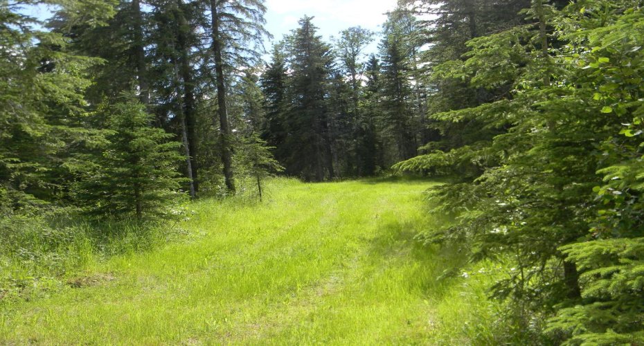 131 Meadow Ponds Drive, Rural Clearwater County, Alberta T4T 1A7, ,Land,For Sale,Meadow Ponds,A1021056