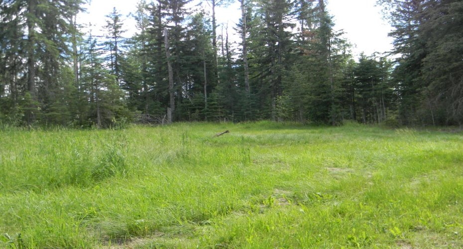 131 Meadow Ponds Drive, Rural Clearwater County, Alberta T4T 1A7, ,Land,For Sale,Meadow Ponds,A1021056