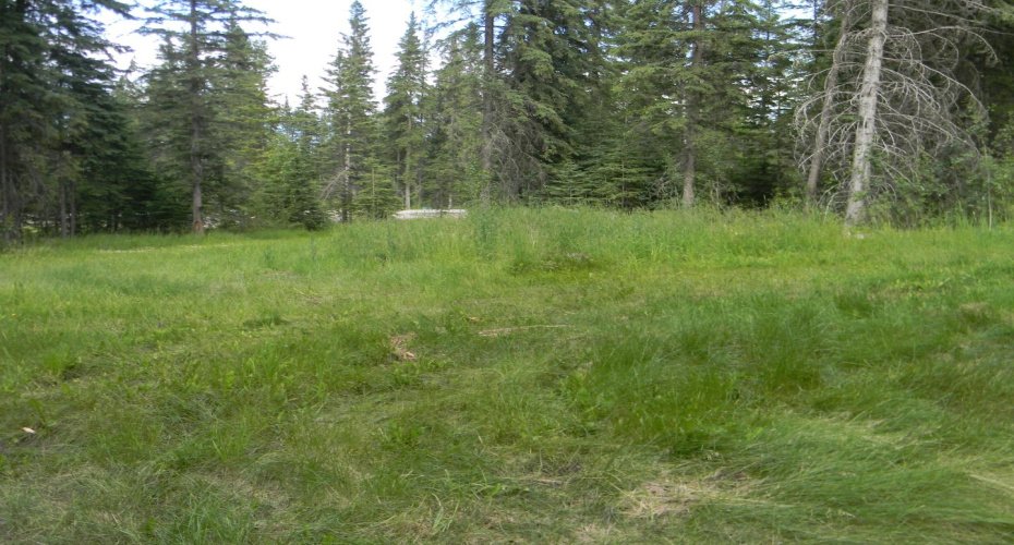 131 Meadow Ponds Drive, Rural Clearwater County, Alberta T4T 1A7, ,Land,For Sale,Meadow Ponds,A1021056