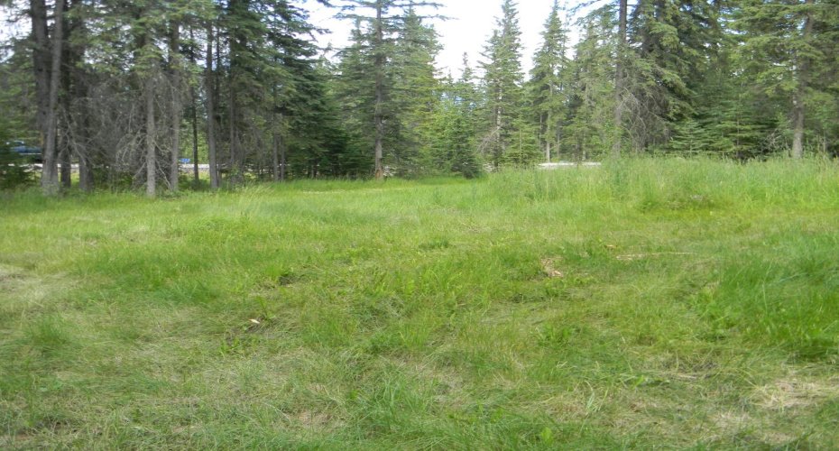 131 Meadow Ponds Drive, Rural Clearwater County, Alberta T4T 1A7, ,Land,For Sale,Meadow Ponds,A1021056