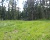 131 Meadow Ponds Drive, Rural Clearwater County, Alberta T4T 1A7, ,Land,For Sale,Meadow Ponds,A1021056
