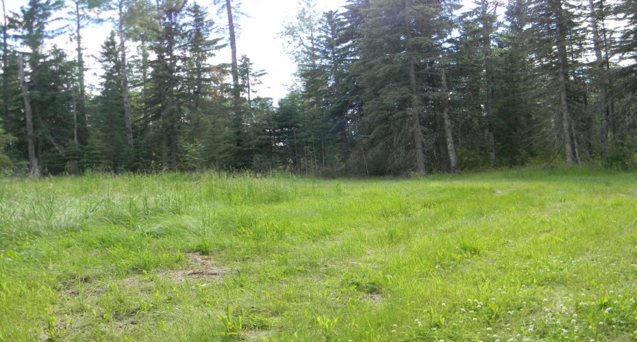 131 Meadow Ponds Drive, Rural Clearwater County, Alberta T4T 1A7, ,Land,For Sale,Meadow Ponds,A1021056