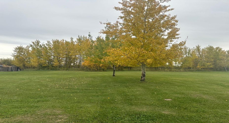 9517 100 Avenue, Lac La Biche, Alberta T0A 2C0, ,Land,For Sale,100,A2164919