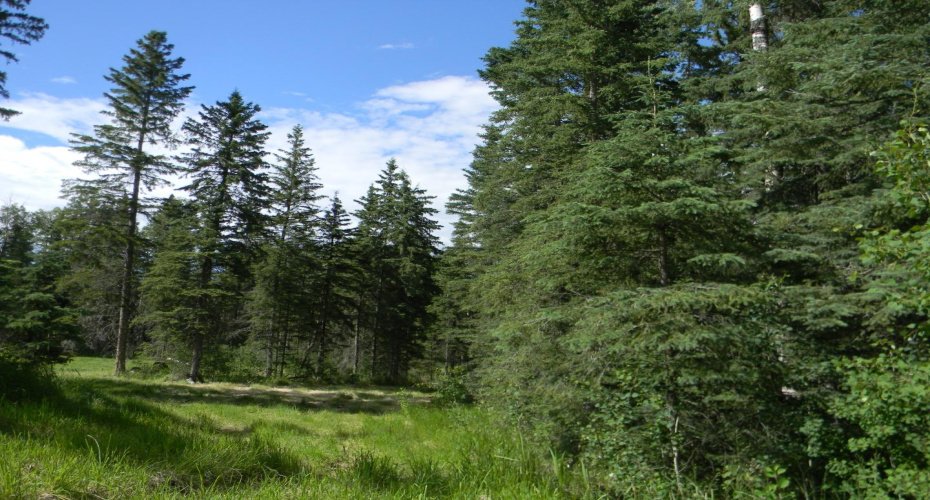 140 Meadow Ponds Drive, Rural Clearwater County, Alberta T4T 1A7, ,Land,For Sale,Meadow Ponds,A1021074
