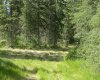 140 Meadow Ponds Drive, Rural Clearwater County, Alberta T4T 1A7, ,Land,For Sale,Meadow Ponds,A1021074