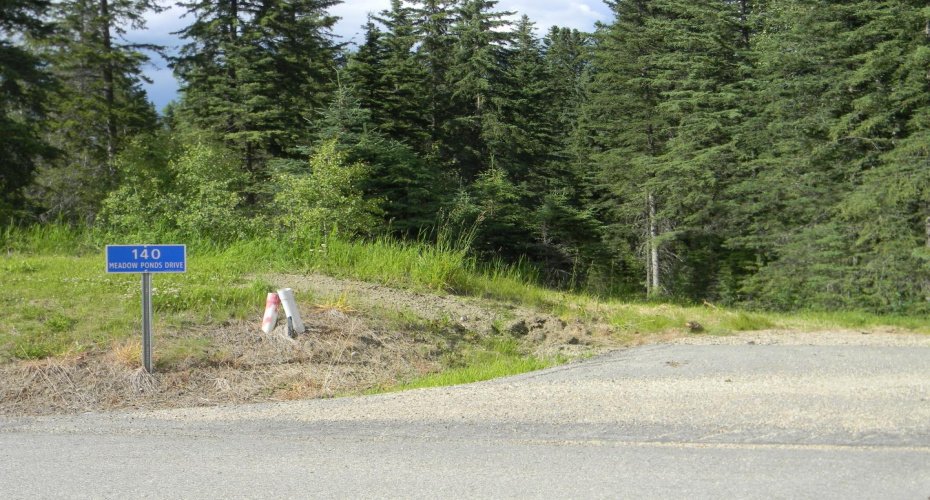 140 Meadow Ponds Drive, Rural Clearwater County, Alberta T4T 1A7, ,Land,For Sale,Meadow Ponds,A1021074