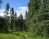 140 Meadow Ponds Drive, Rural Clearwater County, Alberta T4T 1A7, ,Land,For Sale,Meadow Ponds,A1021074