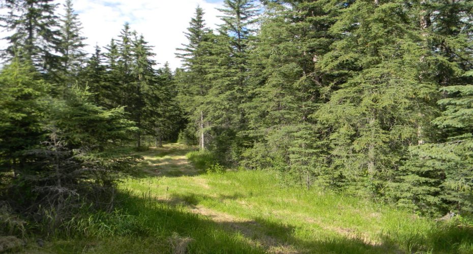 140 Meadow Ponds Drive, Rural Clearwater County, Alberta T4T 1A7, ,Land,For Sale,Meadow Ponds,A1021074