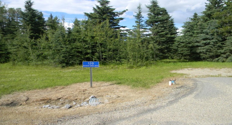 120 Meadow Ponds Drive, Rural Clearwater County, Alberta T4T 1A7, ,Land,For Sale,Meadow Ponds,A1021107
