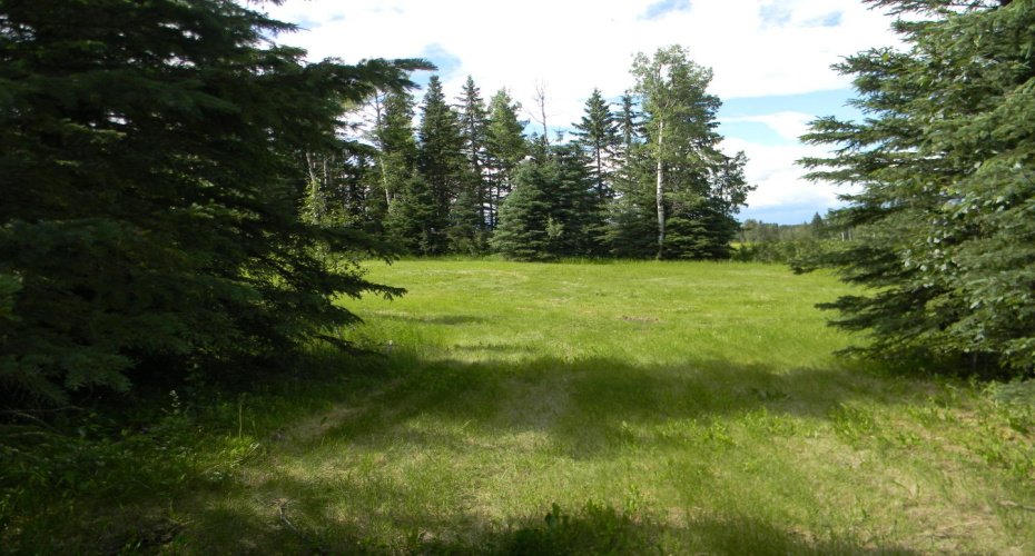 120 Meadow Ponds Drive, Rural Clearwater County, Alberta T4T 1A7, ,Land,For Sale,Meadow Ponds,A1021107
