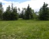 120 Meadow Ponds Drive, Rural Clearwater County, Alberta T4T 1A7, ,Land,For Sale,Meadow Ponds,A1021107