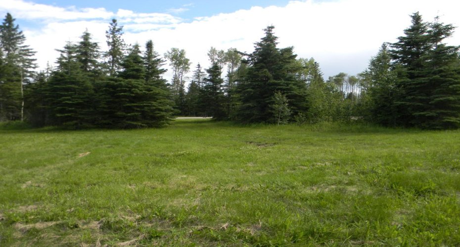 120 Meadow Ponds Drive, Rural Clearwater County, Alberta T4T 1A7, ,Land,For Sale,Meadow Ponds,A1021107