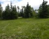 120 Meadow Ponds Drive, Rural Clearwater County, Alberta T4T 1A7, ,Land,For Sale,Meadow Ponds,A1021107
