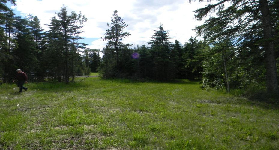 116 Meadow Ponds Drive, Rural Clearwater County, Alberta T4T 1A7, ,Land,For Sale,Meadow Ponds,A1021112