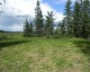 116 Meadow Ponds Drive, Rural Clearwater County, Alberta T4T 1A7, ,Land,For Sale,Meadow Ponds,A1021112