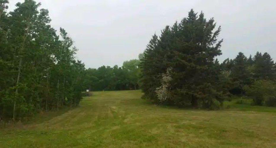 602, 606, 610, 614, 618 5 Avenue, Elnora, Alberta T0M 0Y0, ,Land,For Sale,5,A2161795