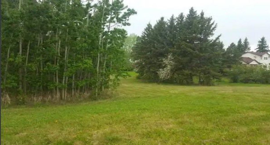 602, 606, 610, 614, 618 5 Avenue, Elnora, Alberta T0M 0Y0, ,Land,For Sale,5,A2161795