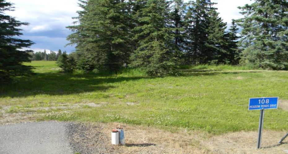 108 Meadow Ponds Drive, Rural Clearwater County, Alberta T4T 1A7, ,Land,For Sale,Meadow Ponds,A1021134