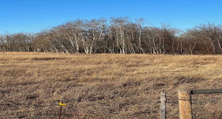 SE-32-71-5-W6 ..., Grande Prairie, Alberta T8X 0G4, ,Agri-business,For Sale,...,A2092893