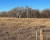 SE-32-71-5-W6 ..., Grande Prairie, Alberta T8X 0G4, ,Agri-business,For Sale,...,A2092893