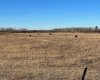 SE-32-71-5-W6 ..., Grande Prairie, Alberta T8X 0G4, ,Agri-business,For Sale,...,A2092893