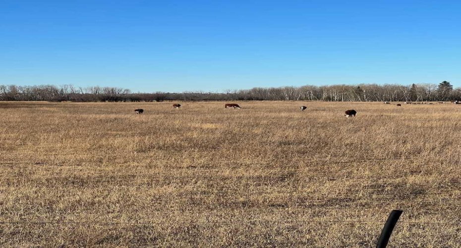 SE-32-71-5-W6 ..., Grande Prairie, Alberta T8X 0G4, ,Agri-business,For Sale,...,A2092893