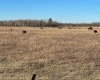 SE-32-71-5-W6 ..., Grande Prairie, Alberta T8X 0G4, ,Agri-business,For Sale,...,A2092893